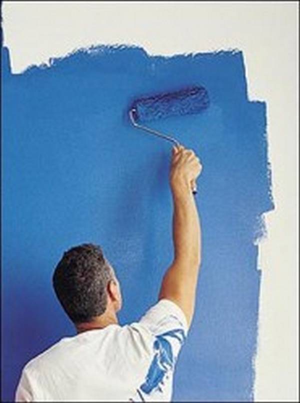Как правильно подготовить и покрасить стены, какую выбрать краску? с фото