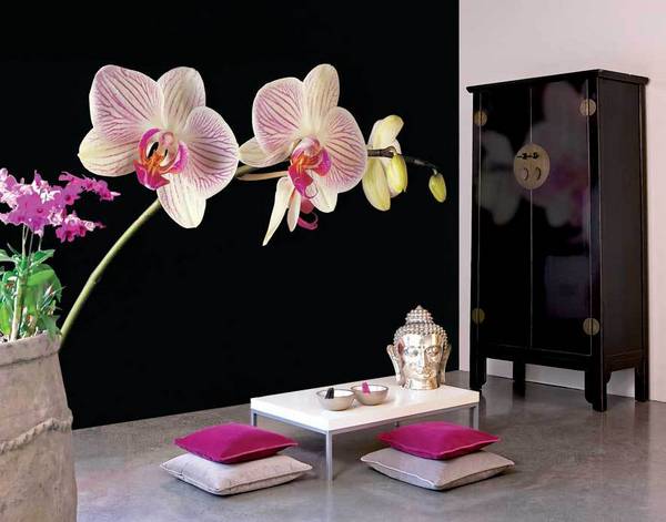 Нежные обои с орхидеями для стены  фото и дизайн - фото